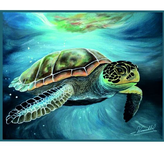 54_Karin Wanninkhof_Zeeschildpad