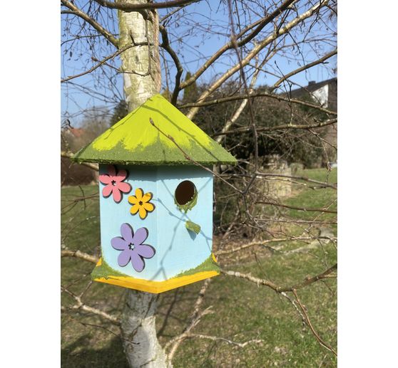 151_Lory_Willkommen zu Hause