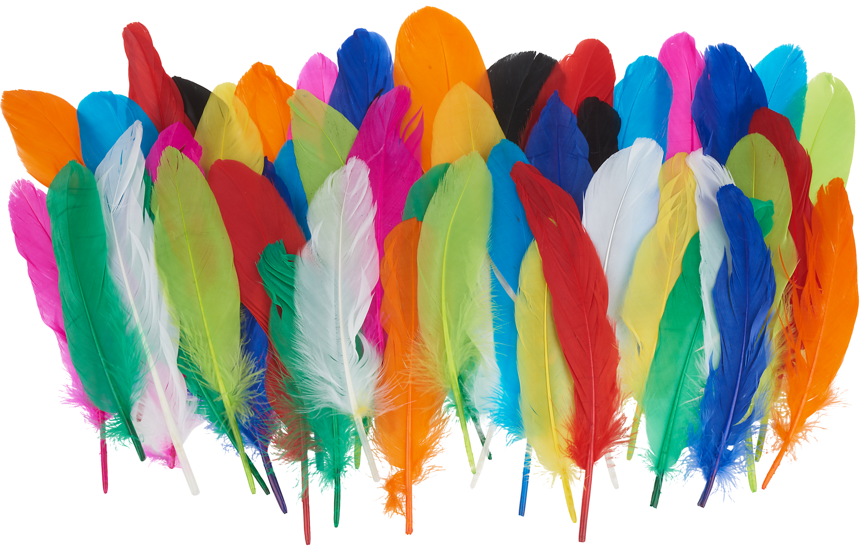 Plumes D'Indien 12 Pcs à Prix Minis Sur