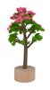 Miniatuur boom bloei