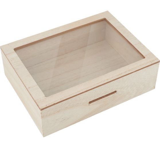 VBS Money box with viewing window