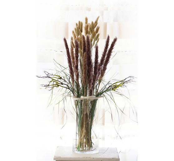 Pampas grass