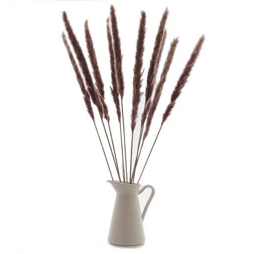 Pampas grass