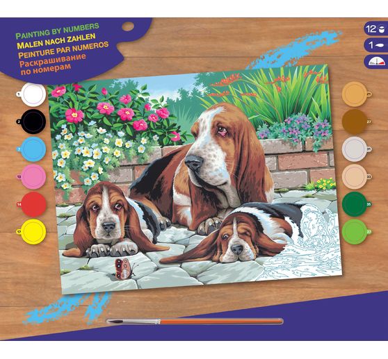 Schilderen op nummers "Basset Dogs"
