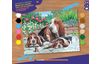 Painting by numbers "Basset Dogs"