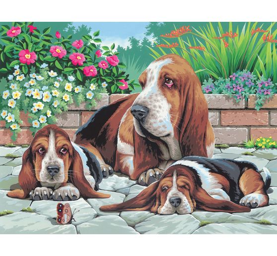 Painting by numbers "Basset Dogs"