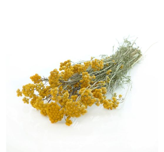 Lona natural yellow