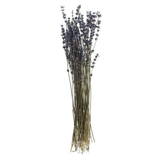 Lavendel natuurlijk blauw