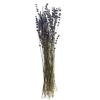 Lavendel natuurlijk blauw