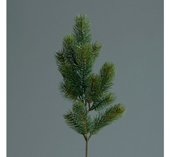 Noble fir branch "Tanya", approx. L 50 cm