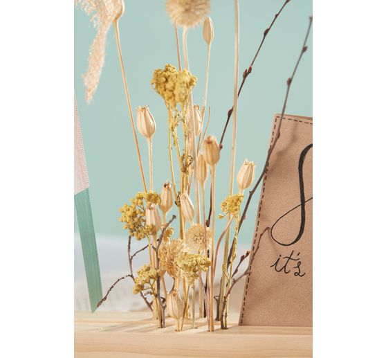 Gedroogde bloemen set "Distel" 