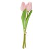 VBS Tulp "Tammie Roze