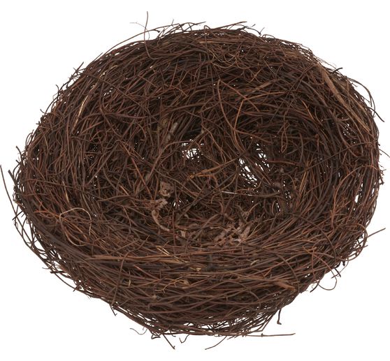 VBS Reisig Nest