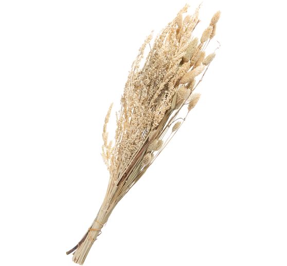 Dried flowers set "Phalaris"