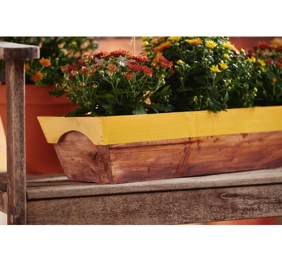 VBS Planter box