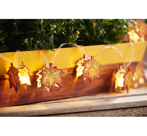 VBS Planter box