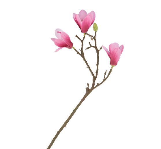 Branche de magnolia VBS « Mabel »