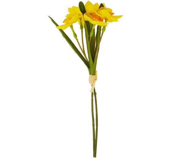 Daffodil single stem