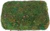 VBS Moss, 750 g