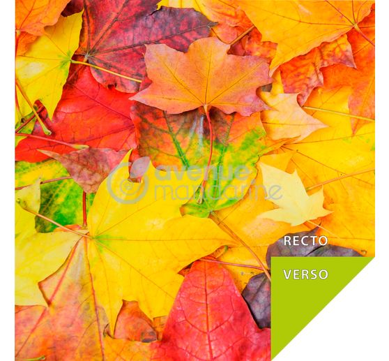 Vouwpapier assortiment "Nature"