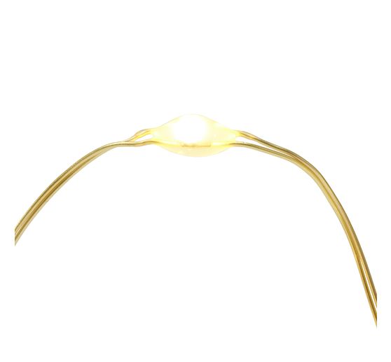 Micro LED snoer lampjes, met timer, goudkleurige draad, 10 LED's