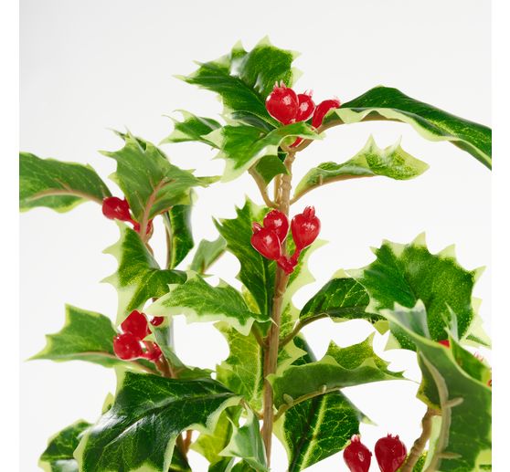 Ilex tak met bessen, 40 cm