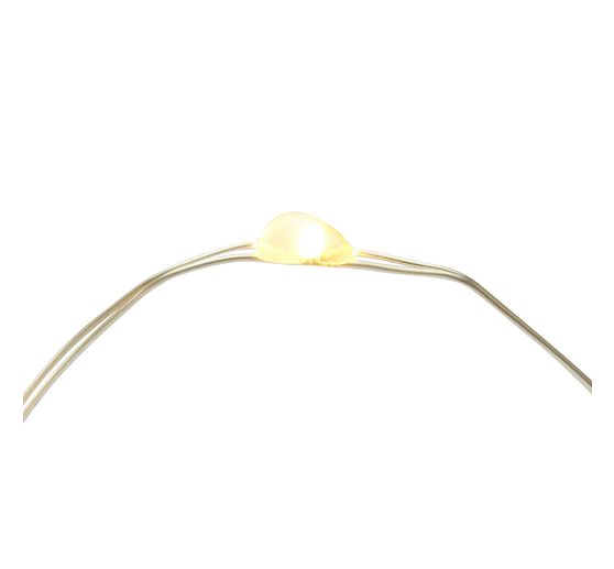 Outdoor Micro LED snoer lampie, met afstandsbediening, 100 LED's