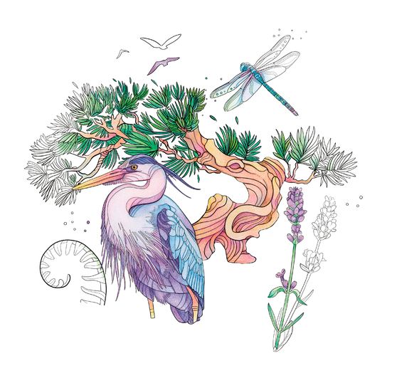 Livre « Colorful World - Quelle der Gelassenheit »