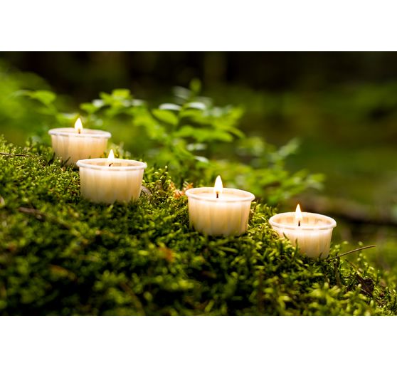Paper tealights "LIGHT.ONE"