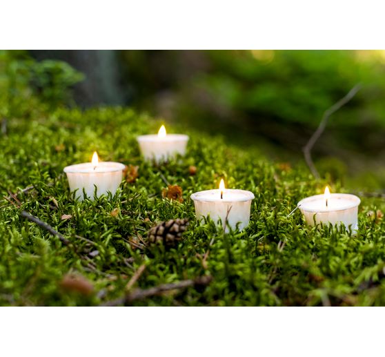 Paper tealights "LIGHT.ONE"