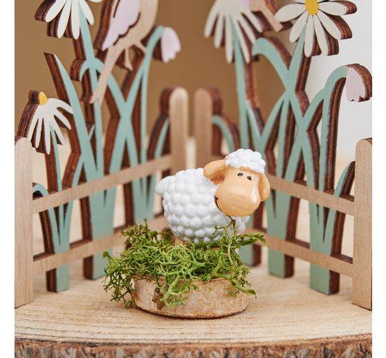 VBS Schaap "Simon"