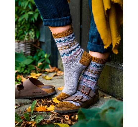 Livre « Der Socken-Kompass »
