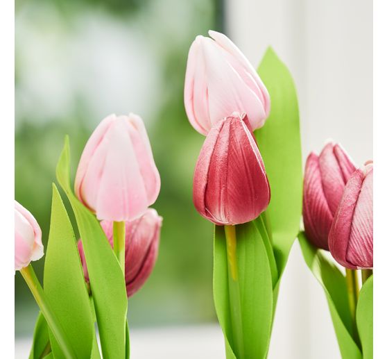 VBS Tulp "Tammie