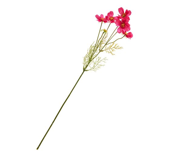 Tige de cosmos à 5 fleurs