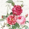 Serviette &laquo; Roseraie &raquo;