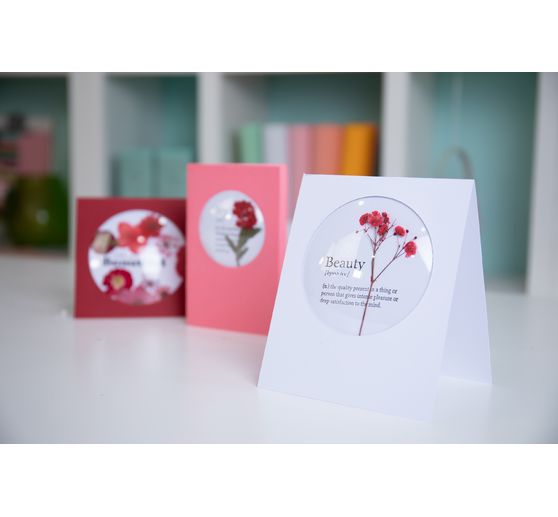 Sizzix Shaker Domes "Rond"