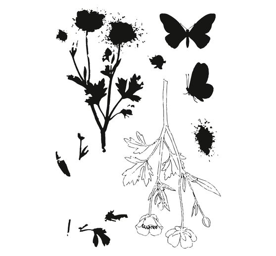 Sizzix Framelits Ponssjabloon en Clear Stamps "Painted Pencil Botanical"