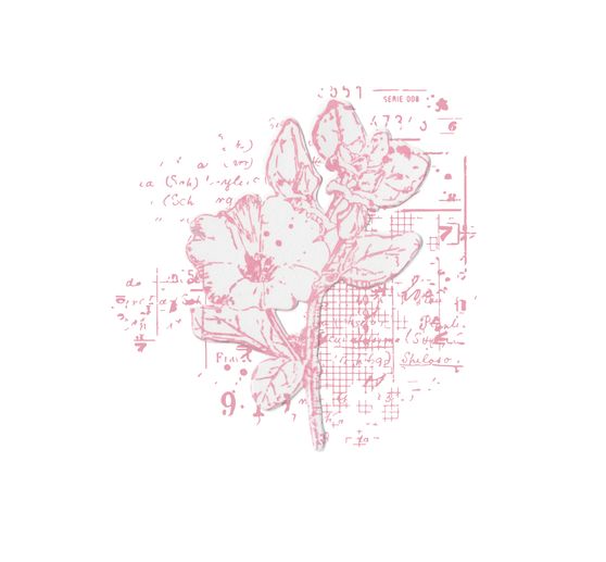 Sizzix Framelits Ponssjabloon en Clear Stamps "Floral Mix Cluster"