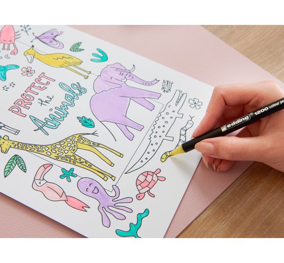 Feutres de coloriage edding 1200, 1 mm, 20 pc. dans boîte métal