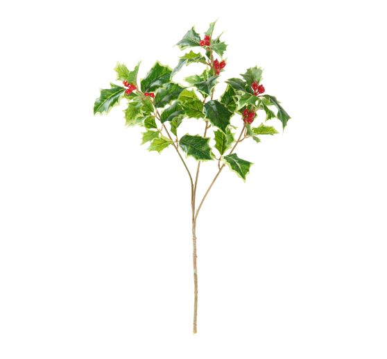 Ilex tak "Green" met bessen, L 40 cm,