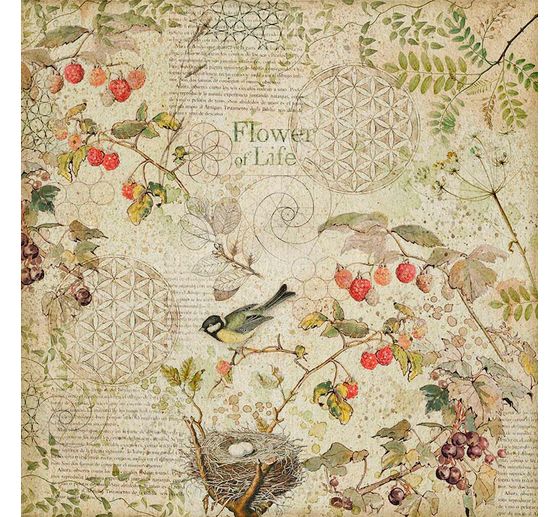 Maxi Scrapbook blok "Forest"