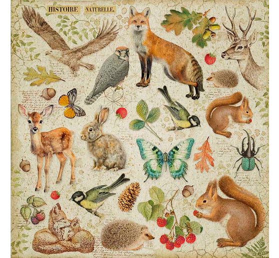 Maxi Scrapbook blok "Forest"