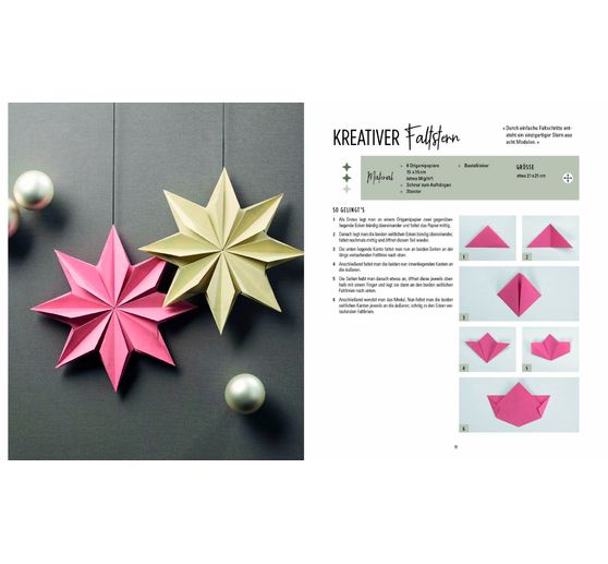 Livre « Weihnachtssterne - Skandi Christmas »