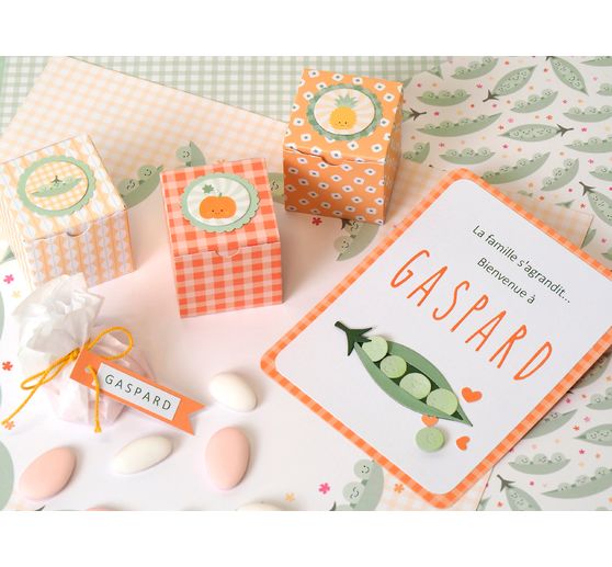 Scrapbook blok "Vitamine"