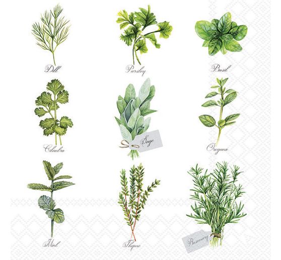 Napkin "Herb selection"