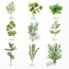 Napkin "Herb selection"