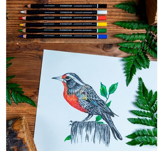 Staedtler Lumocolor permanent Kleurpotlood