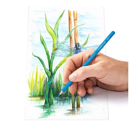 Staedtler Aquarel kleurpotloden, set van 12