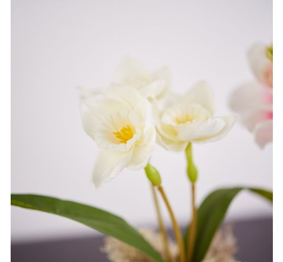 Pique de magnolia à 3 fleurs