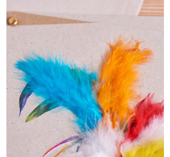 Pluizige Veren Mix "Intense Kleuren